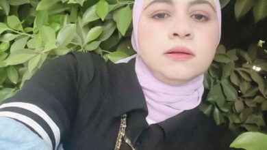 ولاء شهاب